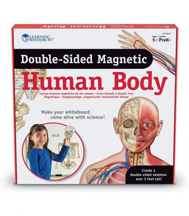 Magnetické ľudské telo, obojstranné