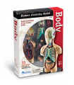 Model ľudského tela 4D Orgány