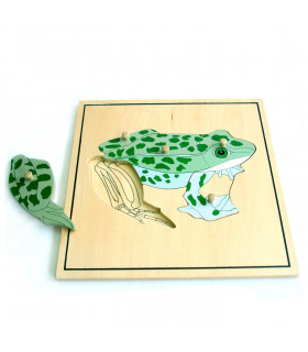 Montessori puzzle žaba