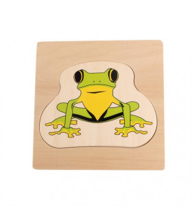 Viacvrstvové drevené puzzle "Životný cyklus žaby"