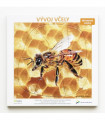 Viacvrstvové puzzle Vývoj včely