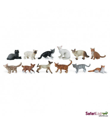 Domáce mačky, tuba Safari